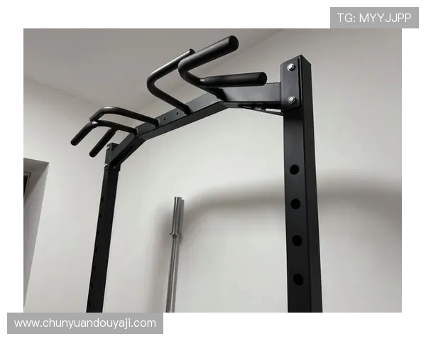 家庭购买健身器材的整体预算及配置方案