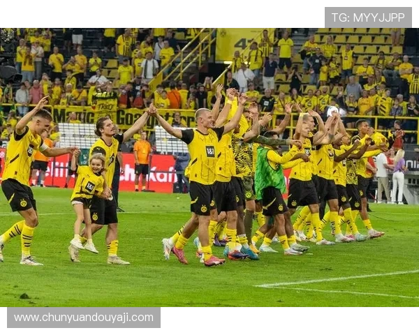 德甲球队2024-2025赛季新队服全览及品牌对比