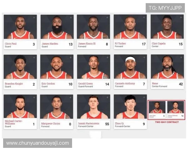 中国籍火箭队队员名单及发展趋势探讨