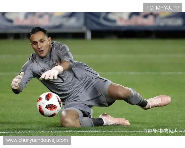 法甲主力球员在比赛中的角色定位与战术执行能力评估