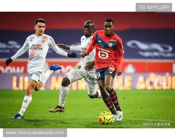 法甲里昂球队队医团队的职能与作用分析